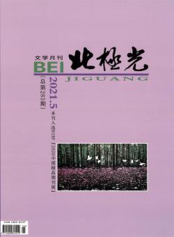 北极光期刊